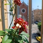 La Casa Di Rossella