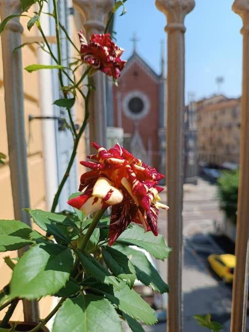 Appartement La Casa Di Rossella Turin